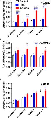 2-Chlorofatty Aldehyde Elicits Endothelial Cell Activation